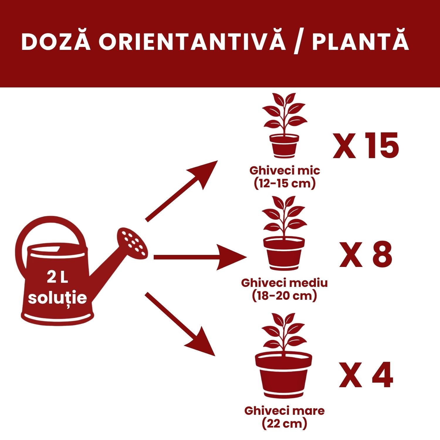 Pachet Îngrijire Plante de interior pentru rădăcini rezistente