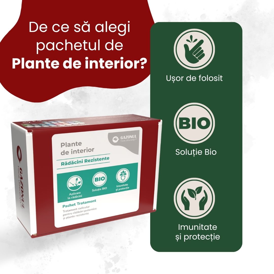 Pachet Îngrijire Plante de interior pentru rădăcini rezistente
