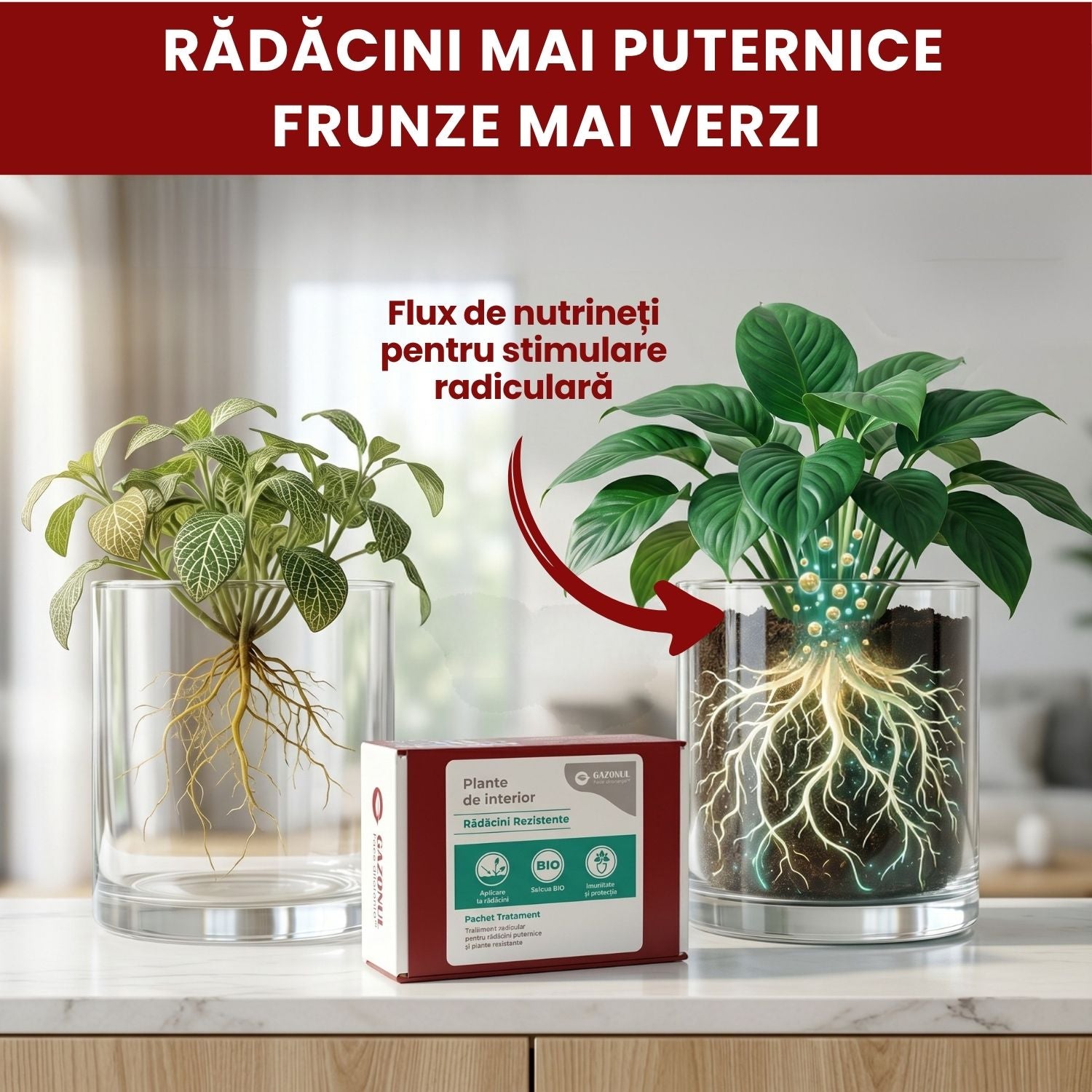 Pachet Îngrijire Plante de interior pentru rădăcini rezistente