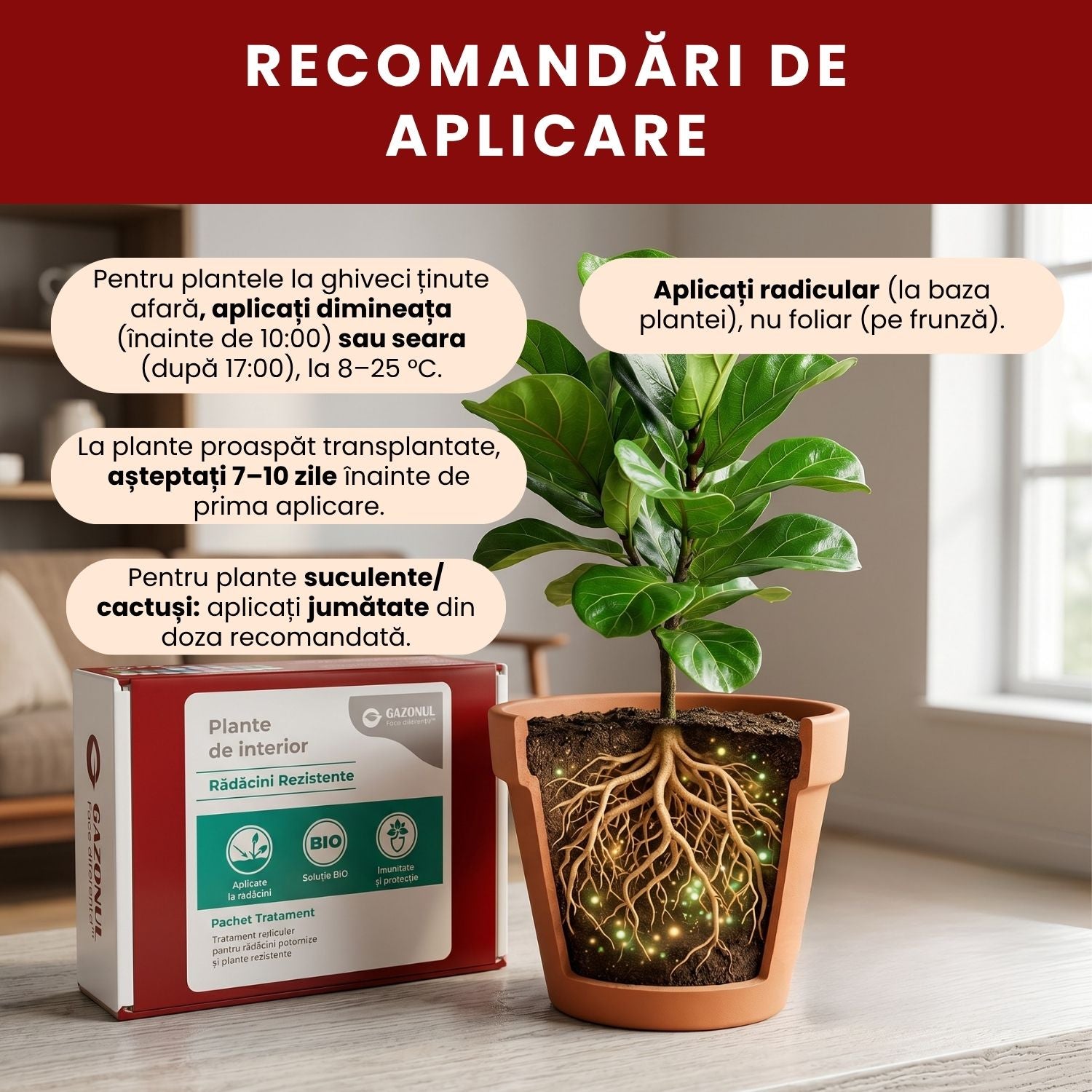 Pachet Îngrijire Plante de interior pentru rădăcini rezistente