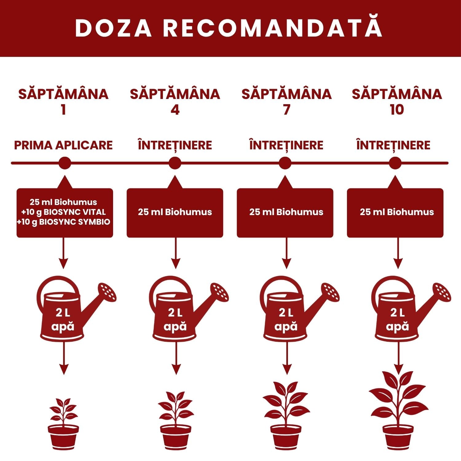 Pachet Îngrijire Plante de interior pentru rădăcini rezistente