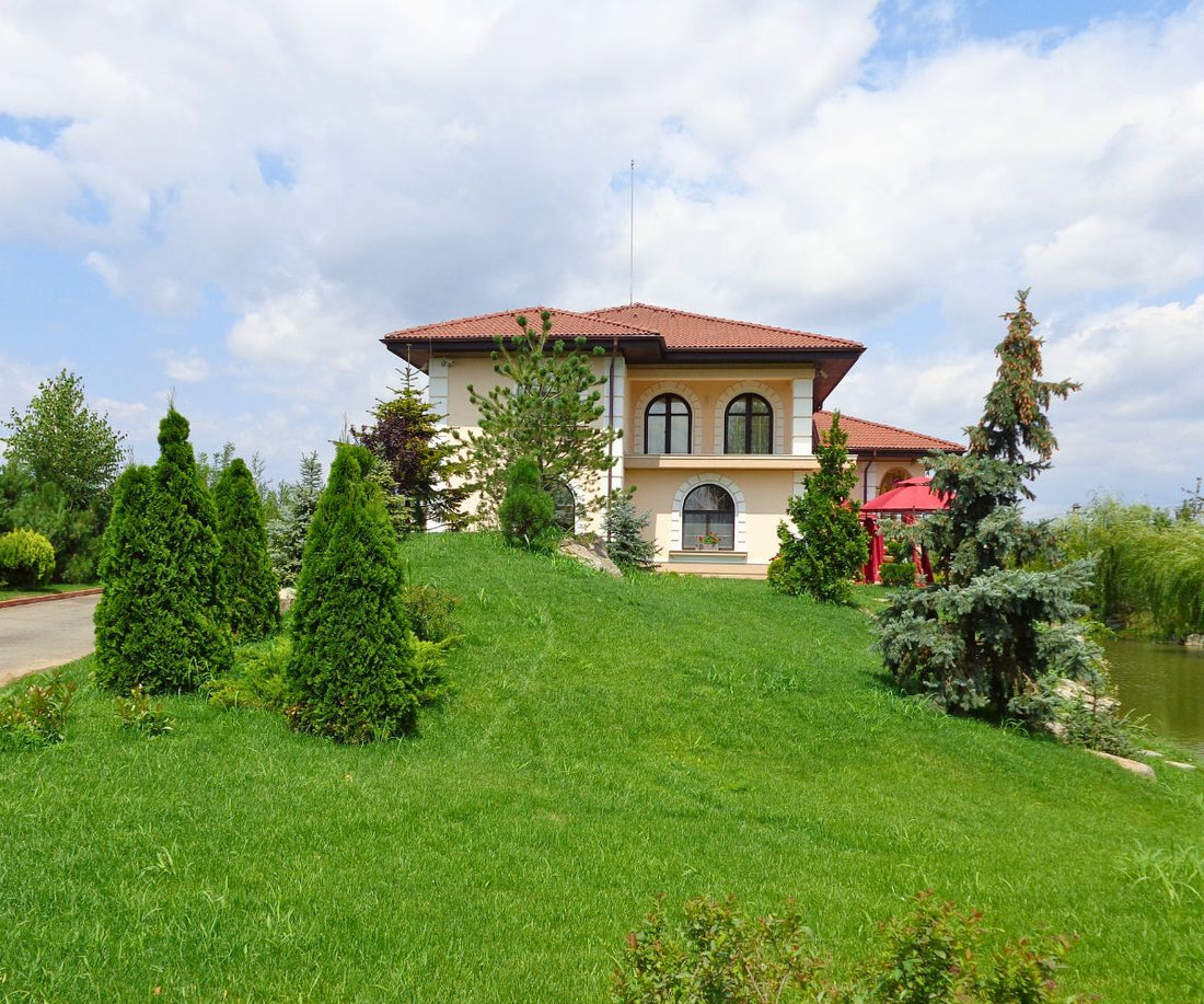 Gazonul