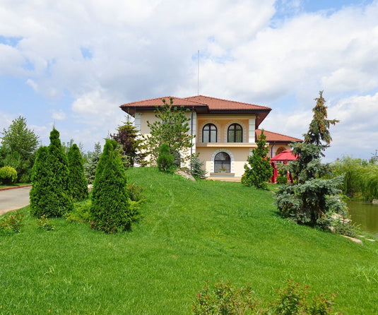 Gazonul