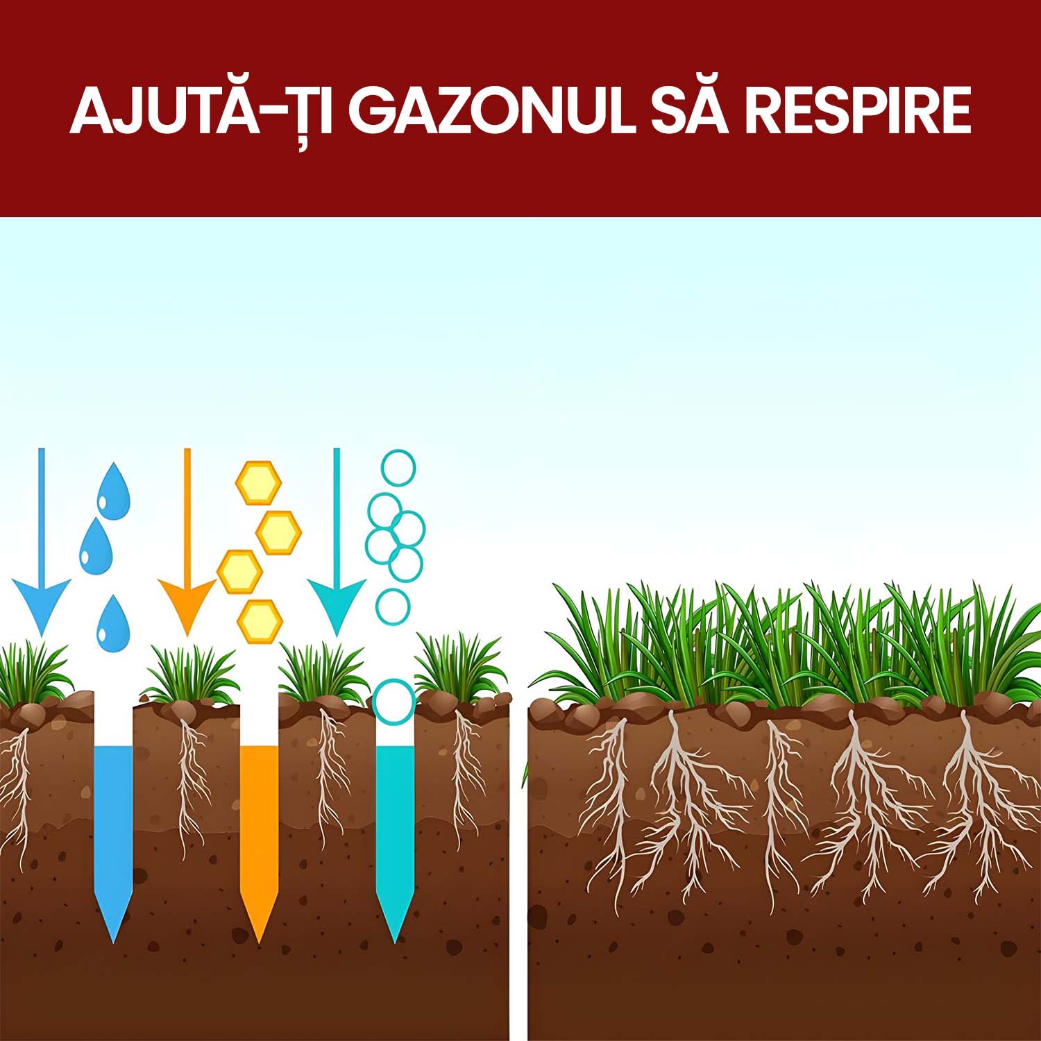 Dispozitiv PRO Aerator, profesional, 2 în 1, cu tije și preducele