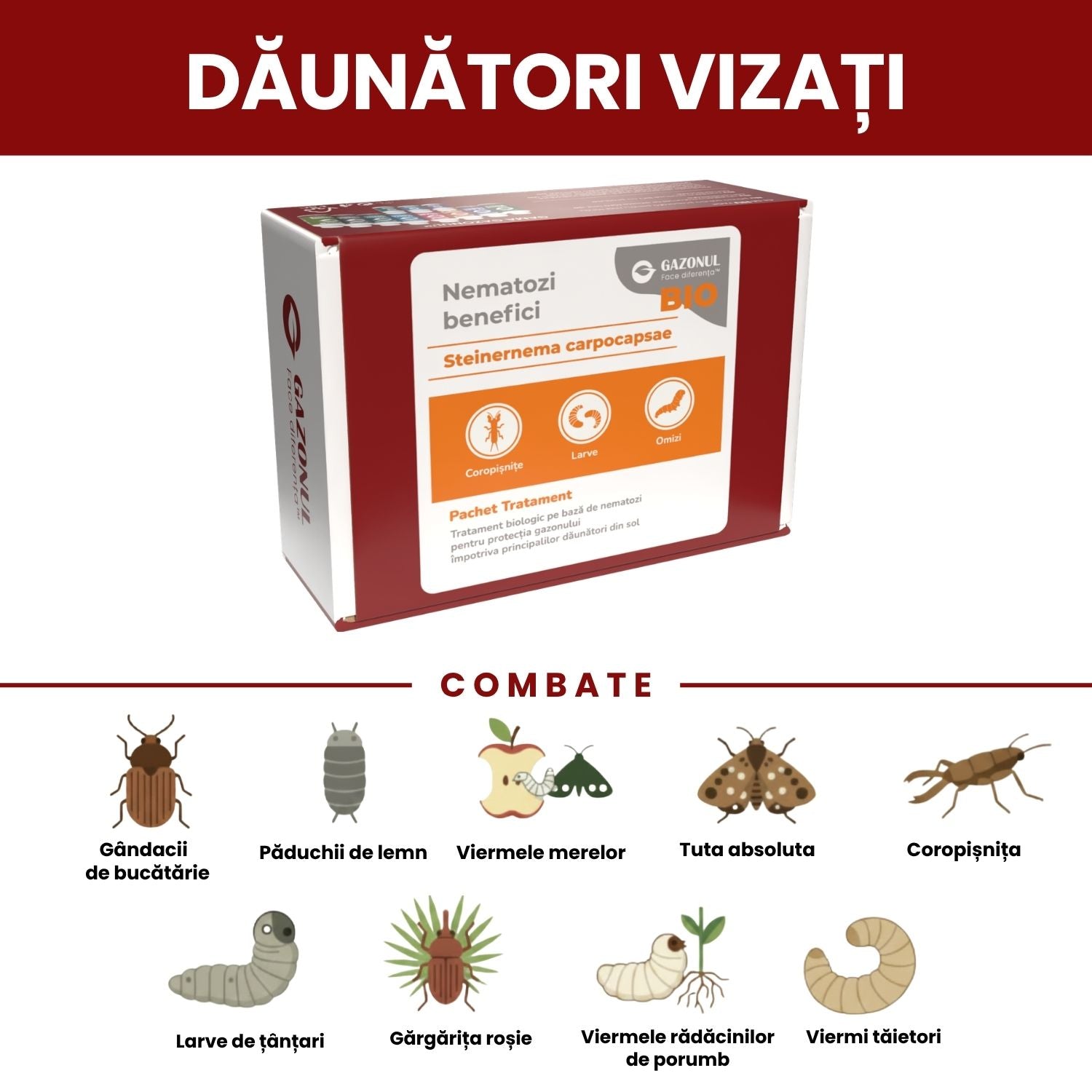 Nematozi benefici Steinernema carpocapsae pentru coropișnițe, larve și alți dăunători