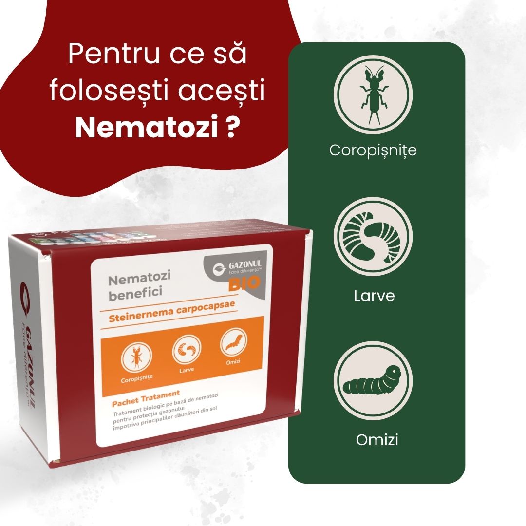 Nematozi benefici Steinernema carpocapsae pentru coropișnițe, larve și alți dăunători