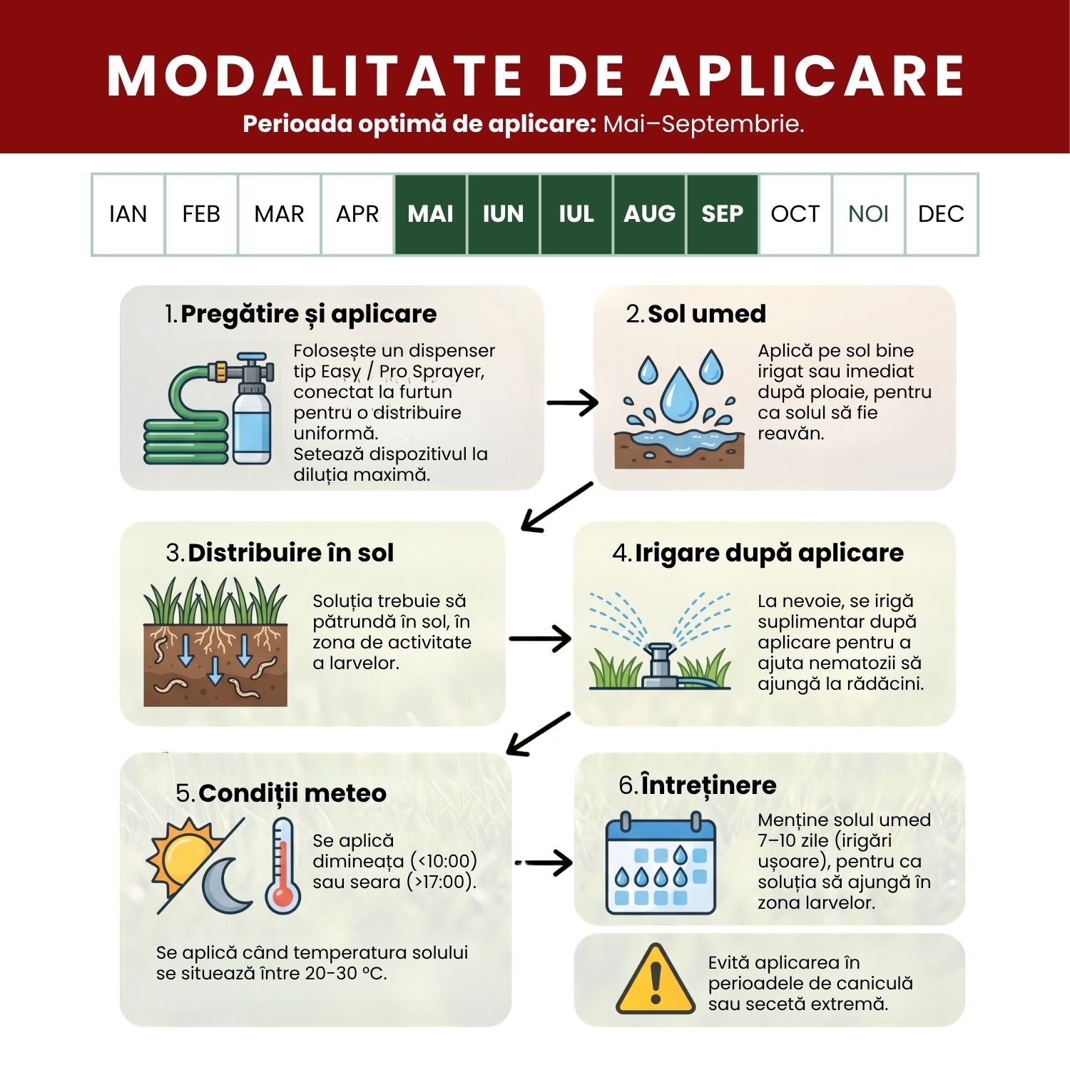 Nematozi benefici Steinernema carpocapsae pentru coropișnițe, larve și alți dăunători