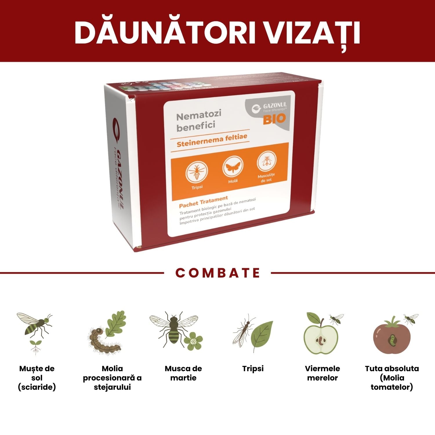 Nematozi benefici Steinernema feltiae pentru molii, tripsi și alți dăunători