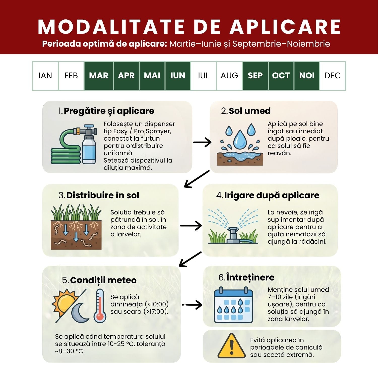 Nematozi benefici Steinernema feltiae pentru molii, tripsi și alți dăunători