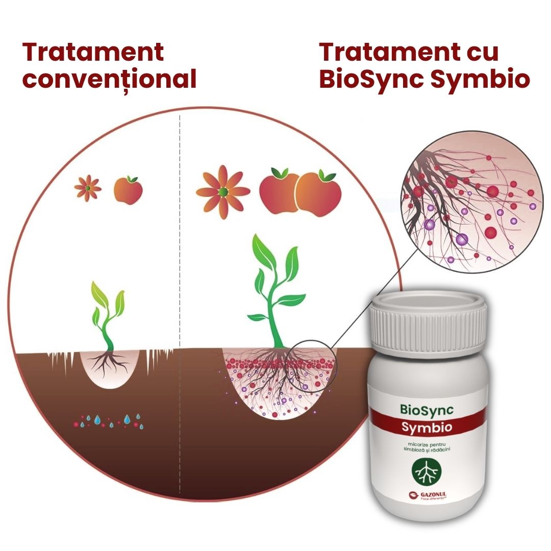 BioSync Symbio – micorize pentru simbioză și rădăcini puternice 10 g