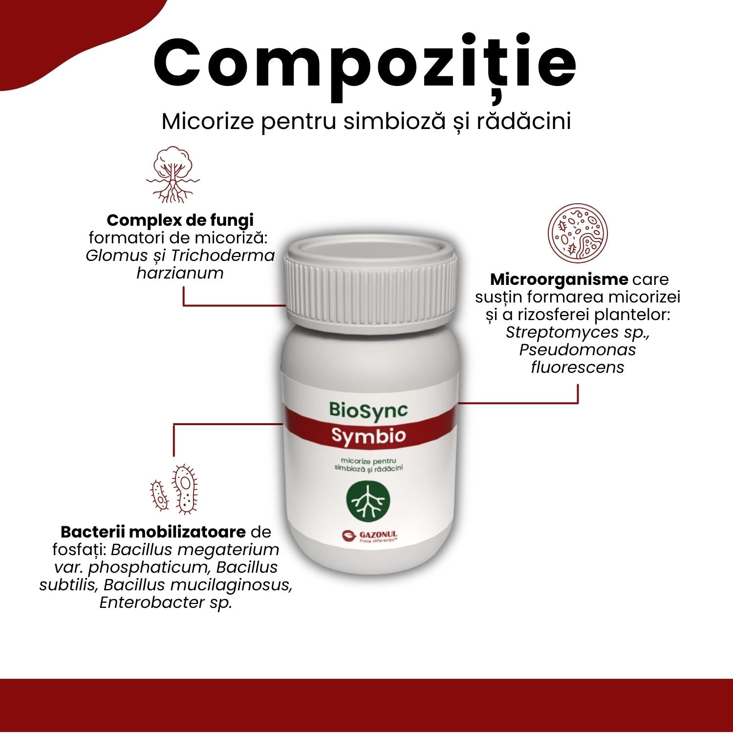 BioSync Symbio – micorize pentru simbioză și rădăcini puternice 10 g