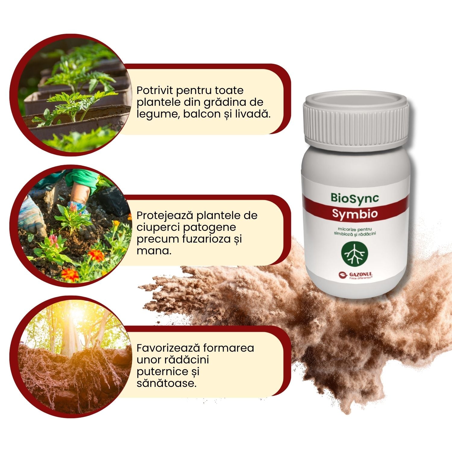 BioSync Symbio – micorize pentru simbioză și rădăcini puternice 10 g