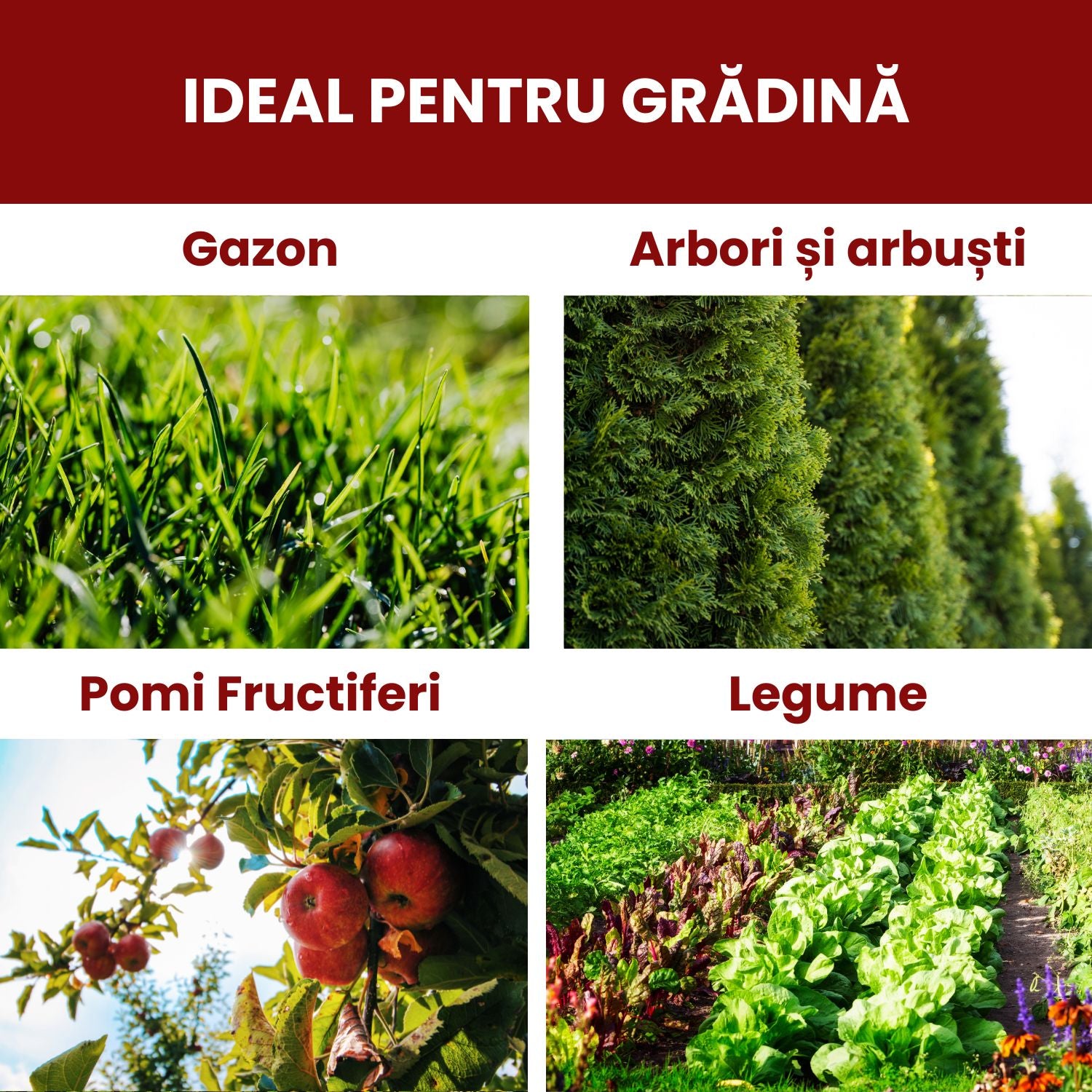 Pachet Tratament Grădină BIO - VARĂ – Îngrijire și Protecție împotriva Dăunătorilor și Bolilor