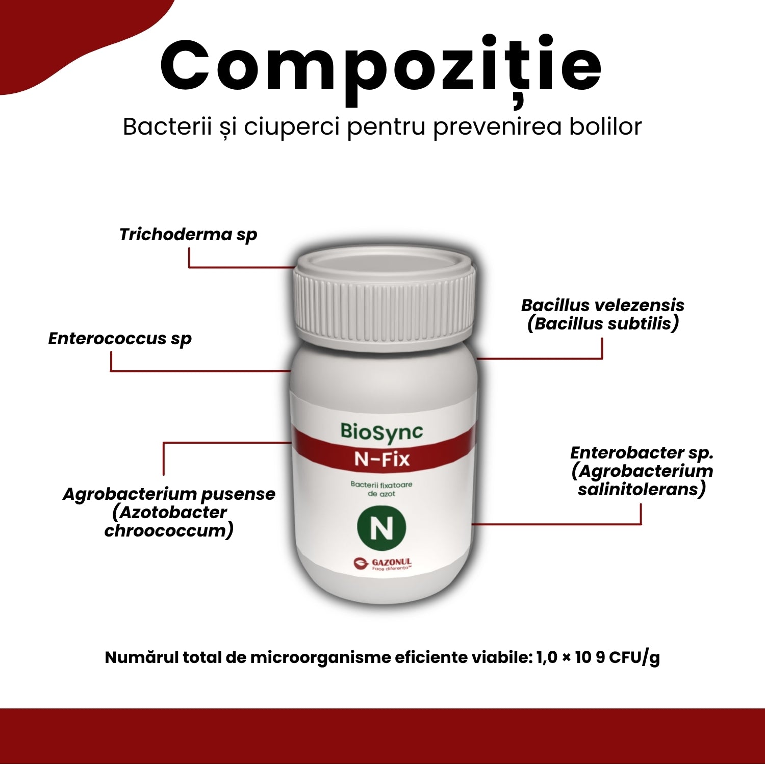 BioSync Vital - bacterii și ciuperci benefice pentru prevenirea bolilor și dezvoltarea plantelor 10 g