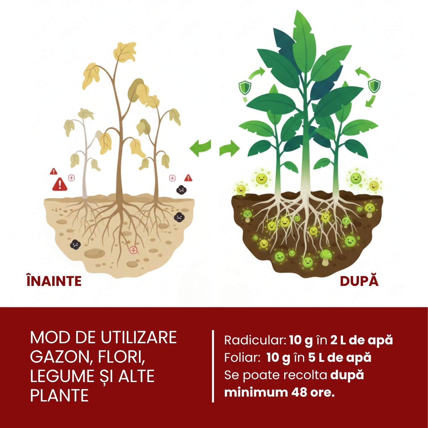 BioSync Vital - bacterii și ciuperci benefice pentru prevenirea bolilor și dezvoltarea plantelor 10 g
