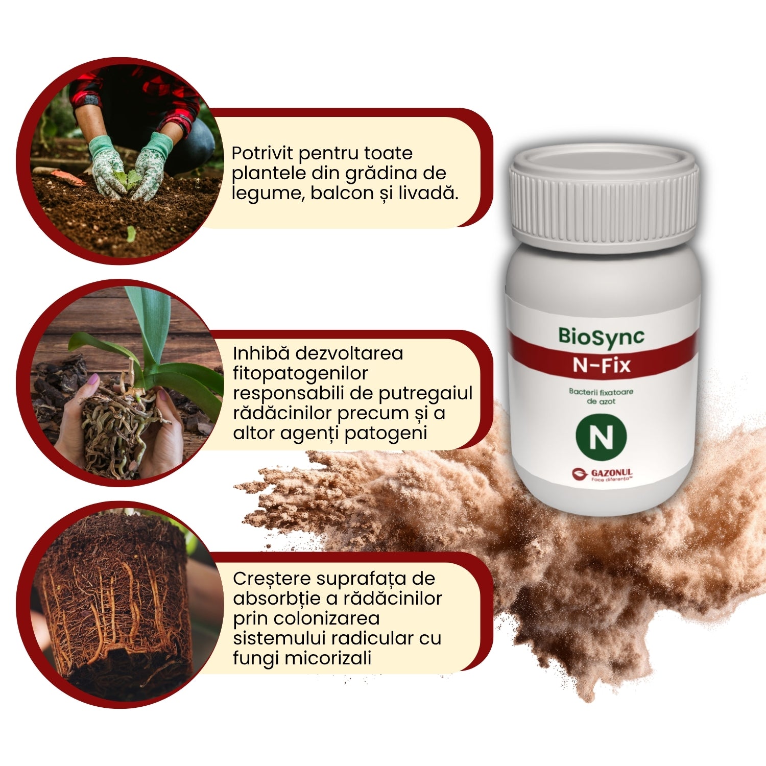 BioSync Vital - bacterii și ciuperci benefice pentru prevenirea bolilor și dezvoltarea plantelor 10 g