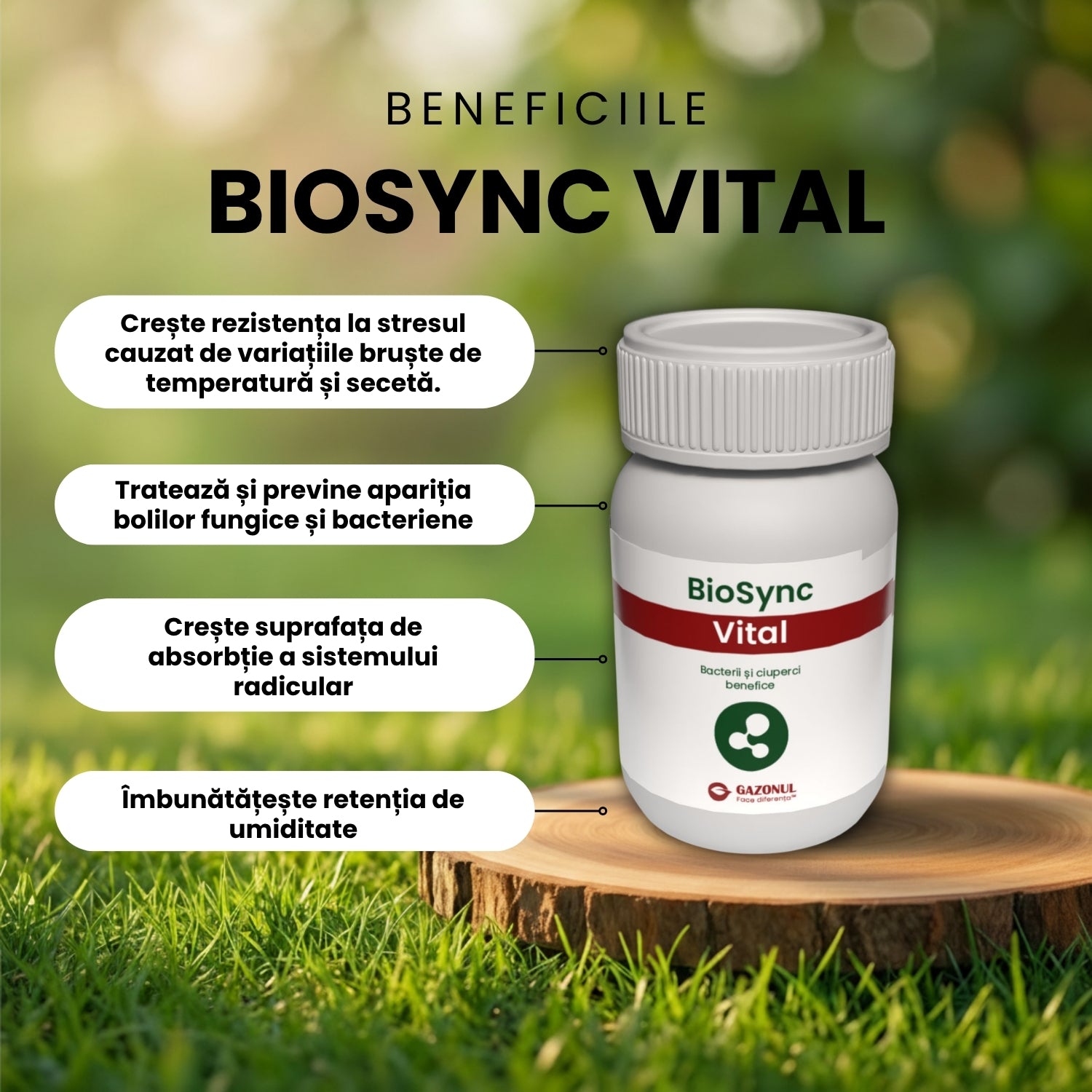 BioSync Vital - bacterii și ciuperci benefice pentru prevenirea bolilor și dezvoltarea plantelor 10 g