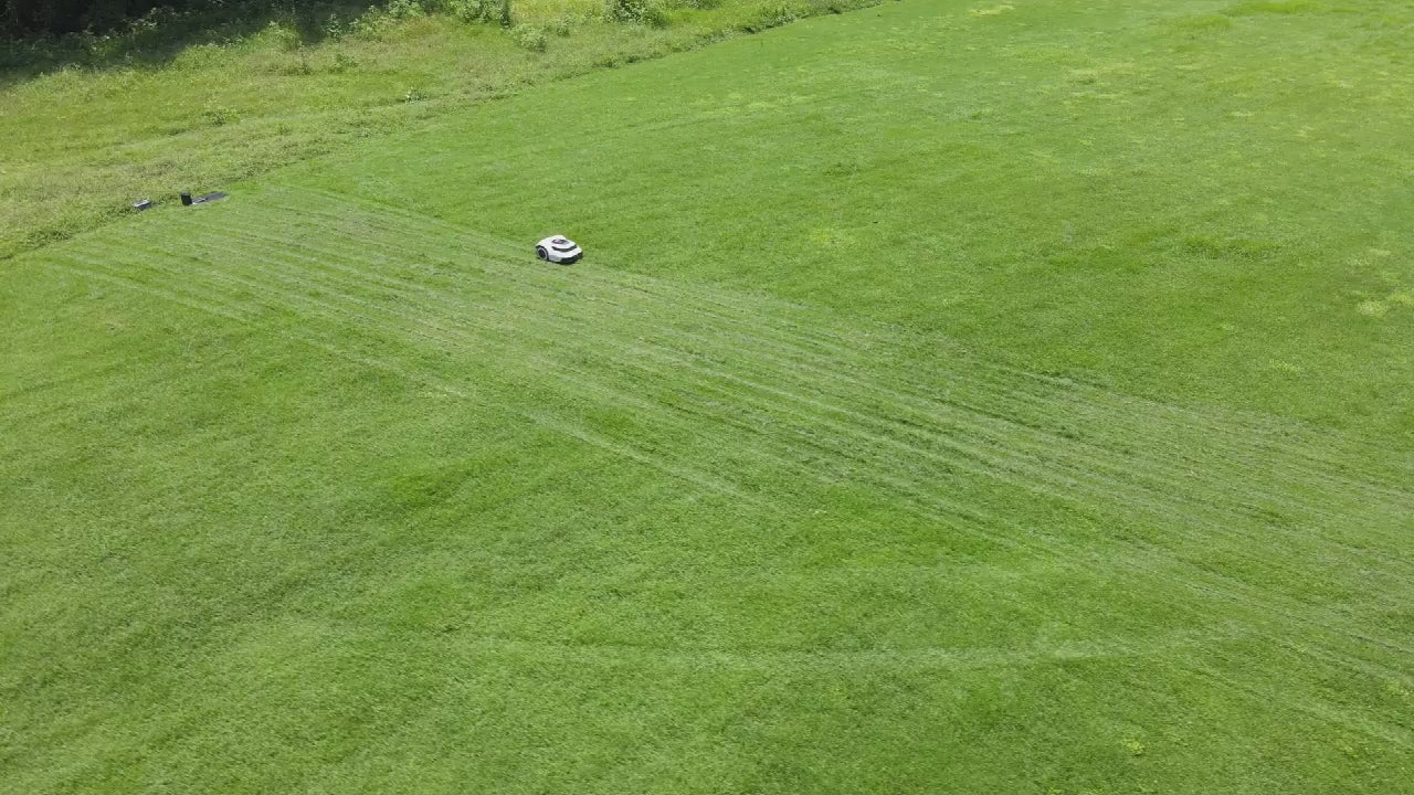 Încarcă videoclipul: 